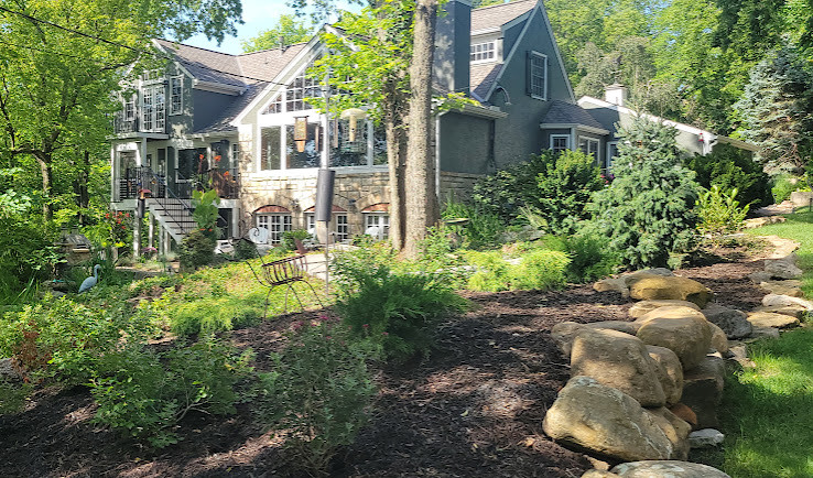 Woodland Restoration