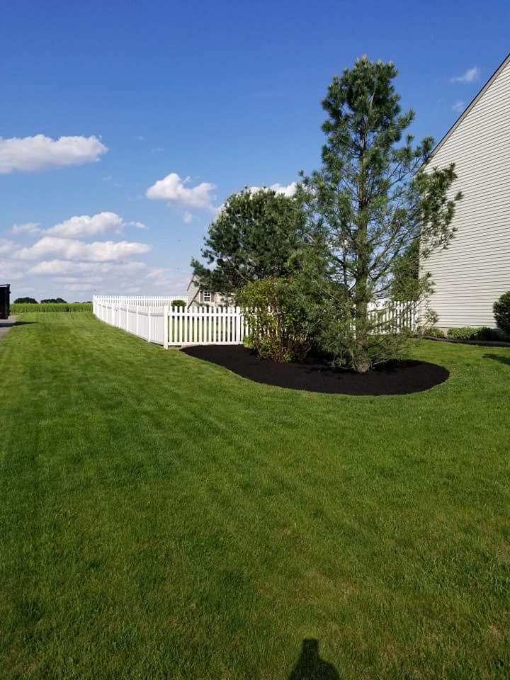 Landscaping projects