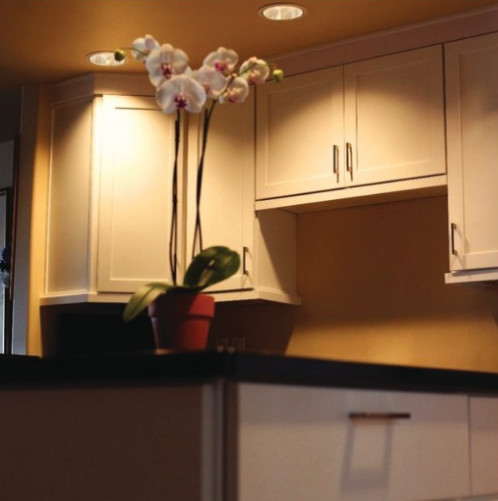 Transitional home design photo in Seattle