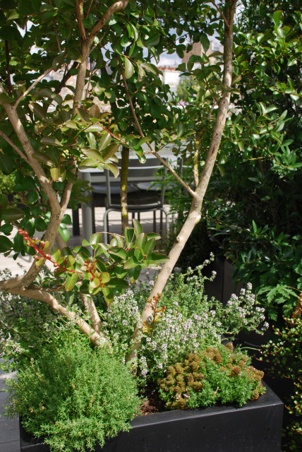 Boulogne - Conception d'un rooftop contemporary-deck
