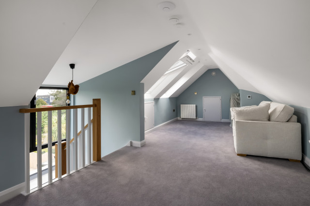 Mount Merrion contemporary-family-room