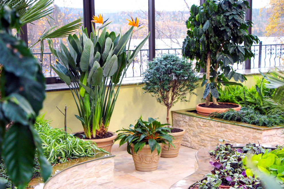 Мурманск, зимний сад