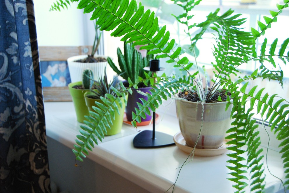 Кухня-гостиная в скандинавском стиле "Туманный Петербург"