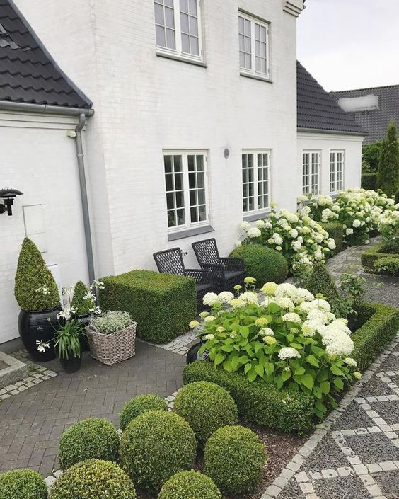 ГОРТЕНЗИИ В САДУ