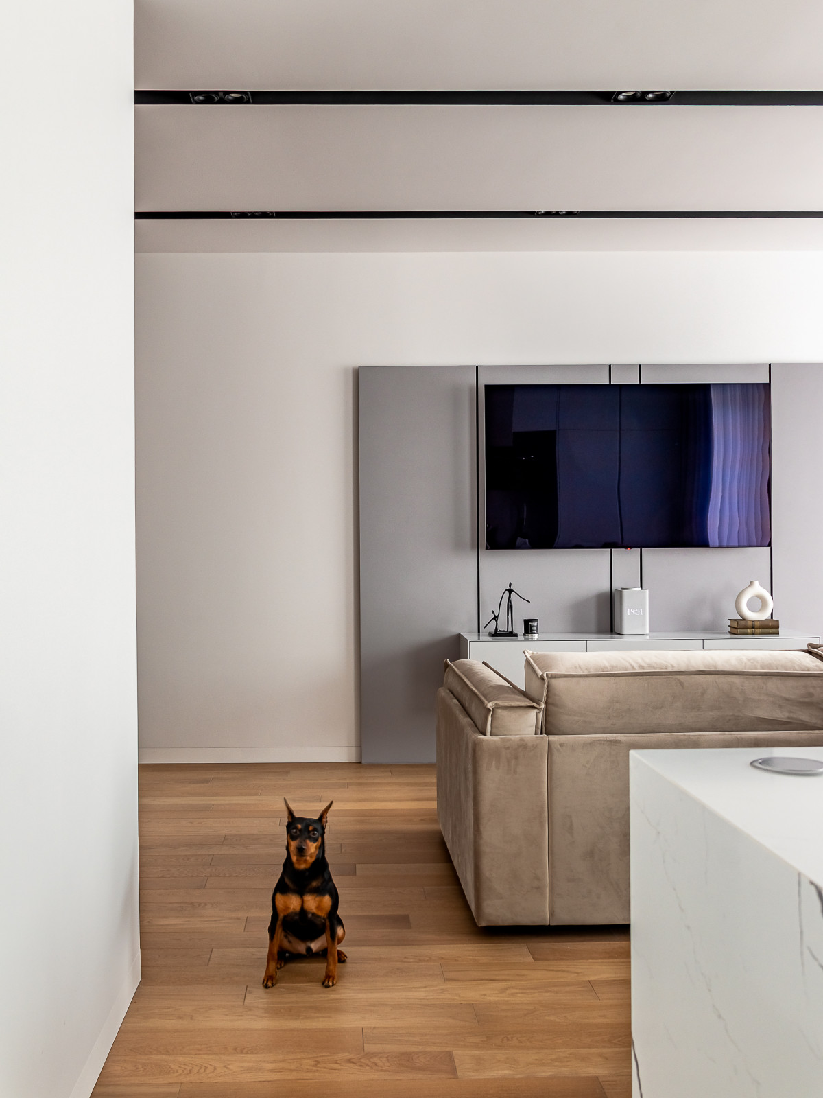 Квартира по дизайн-проекту в ЖК Новое Купчино