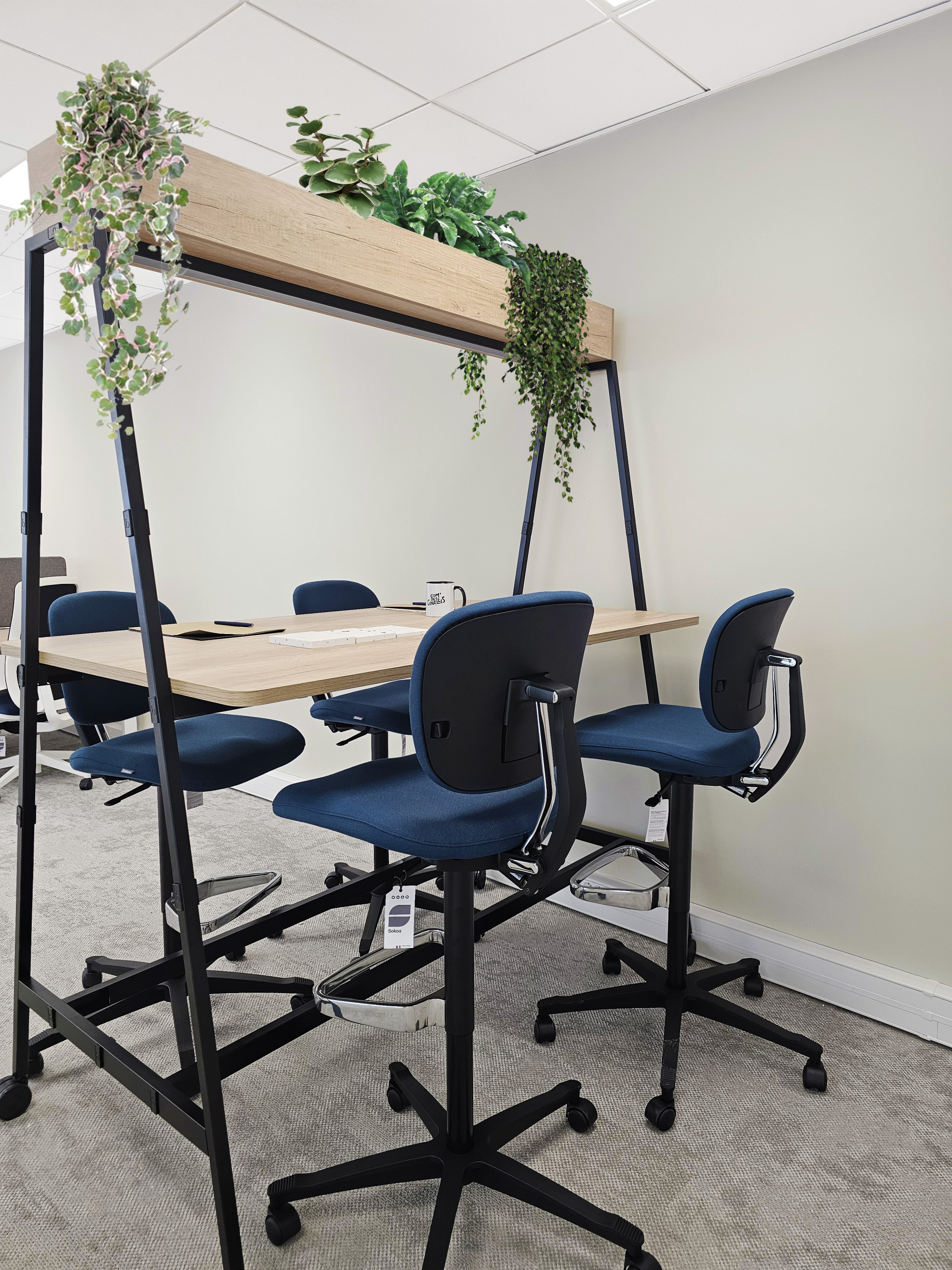 Rénovation d'un plateau de bureau témoin