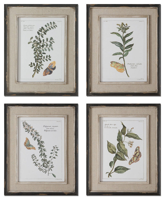 Uttermost Butterfly Plants Framed Art, Set of 4 - Traditional - Prints ...