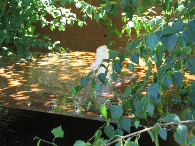 Jardines 