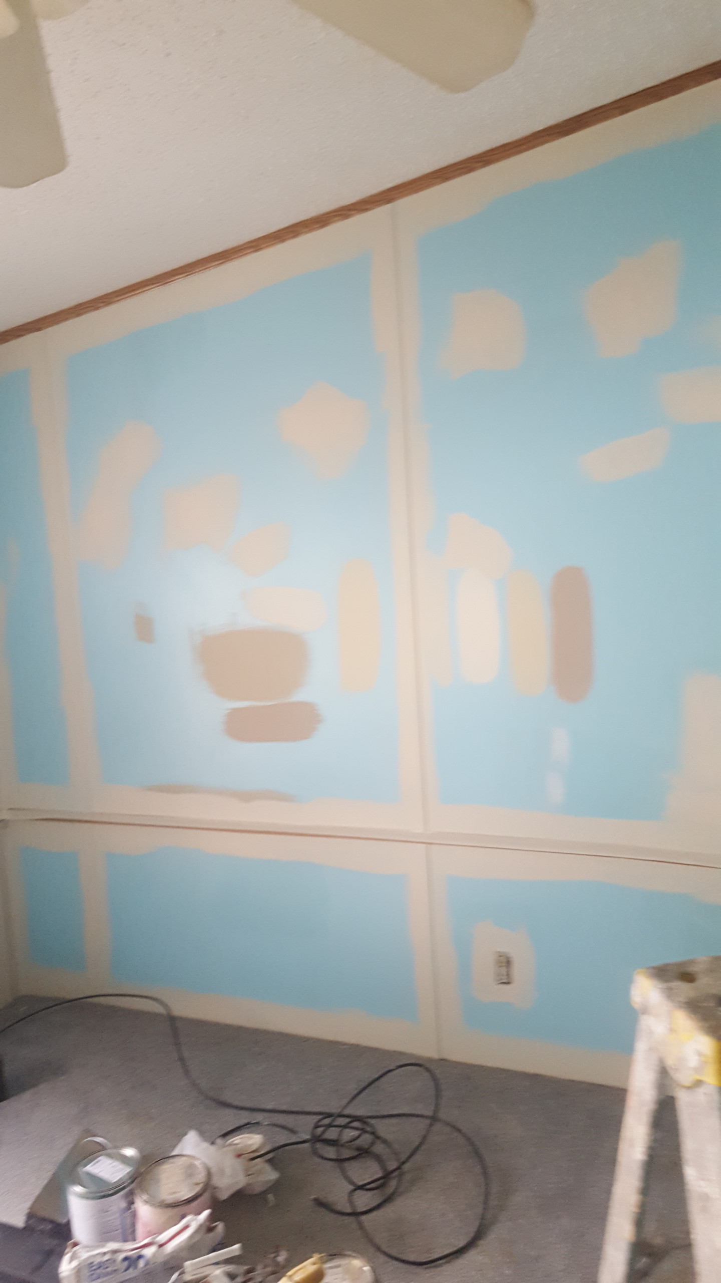 Interior Painting Projects