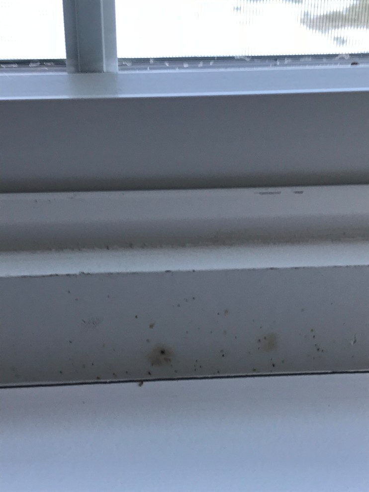 Orange spots on Window frame