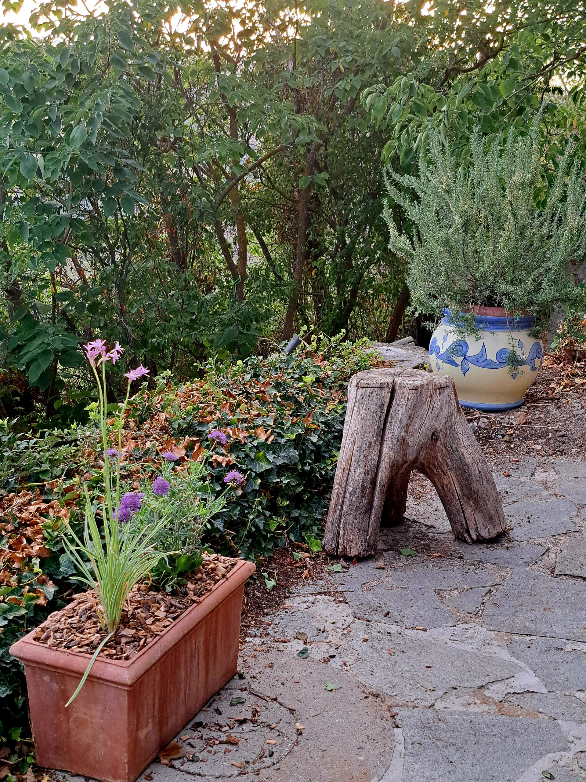 Un giardino sulle colline pavesi