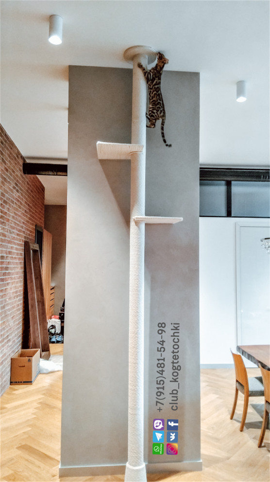 Когтеточка от пола до потолка