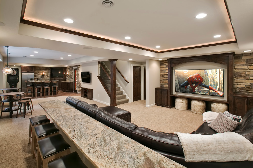 This is an example of a transitional basement in Minneapolis.