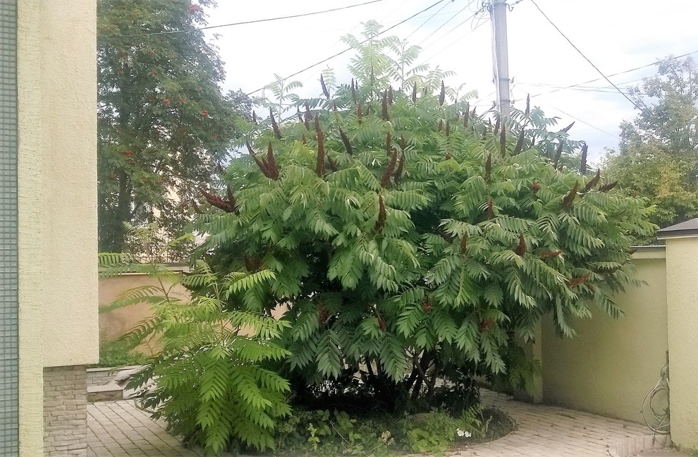 Русское Ретро