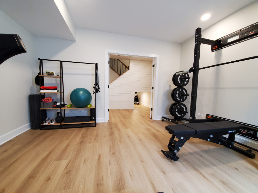 Transitional basement photo in Chicago