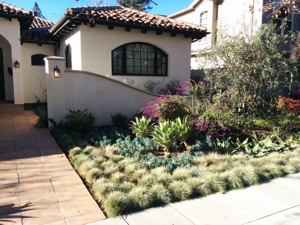 Photo of a small mediterranean front yard partial sun xeriscape in San Francisco with mulch.