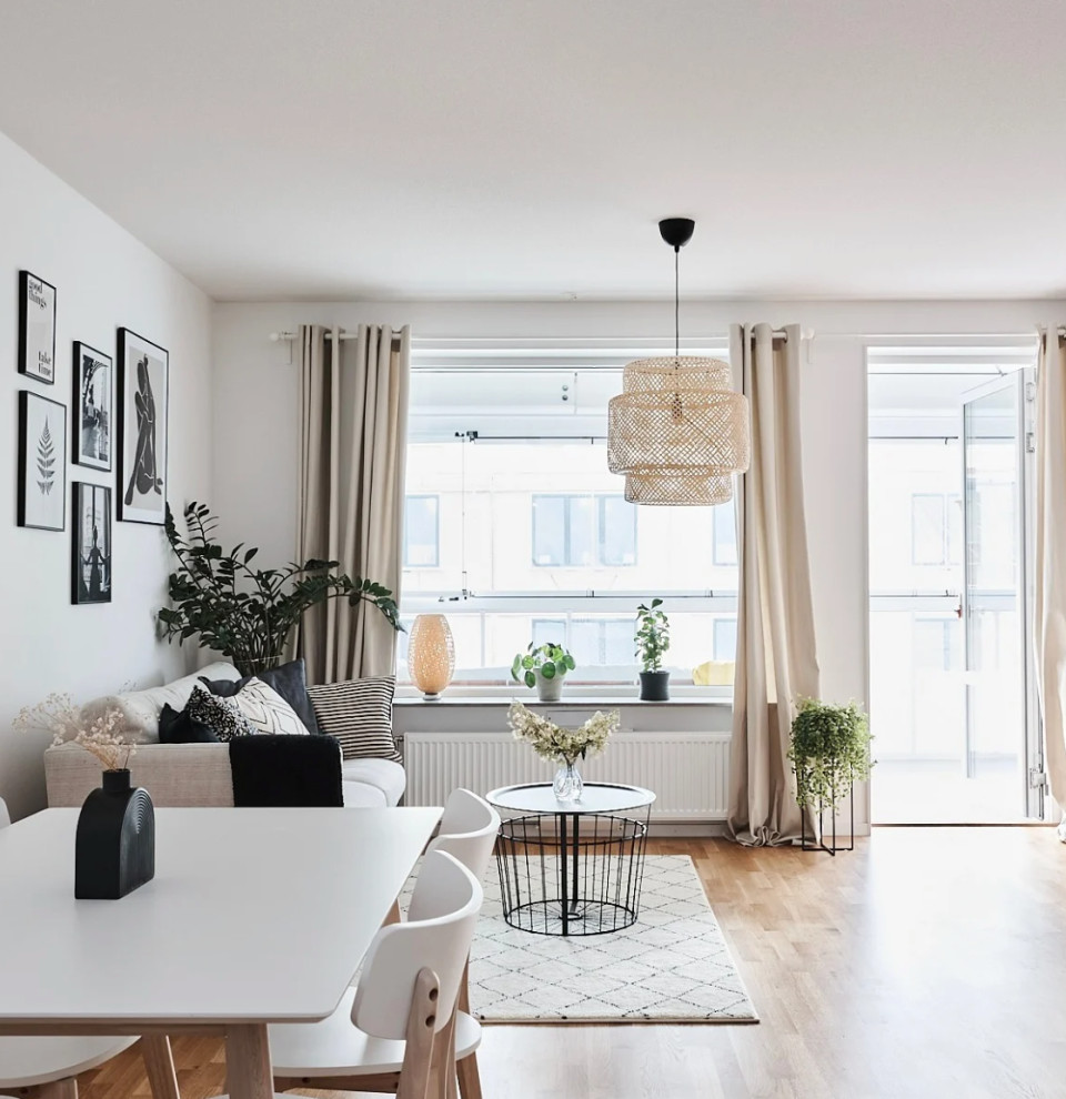Dining / Living Room