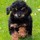 stephanie_bauer7956939