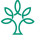 Foundation Health Osteopathy | Ballina