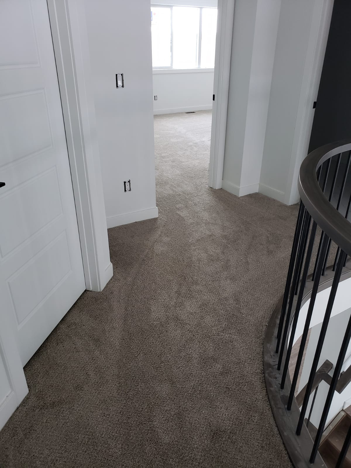Carpet
