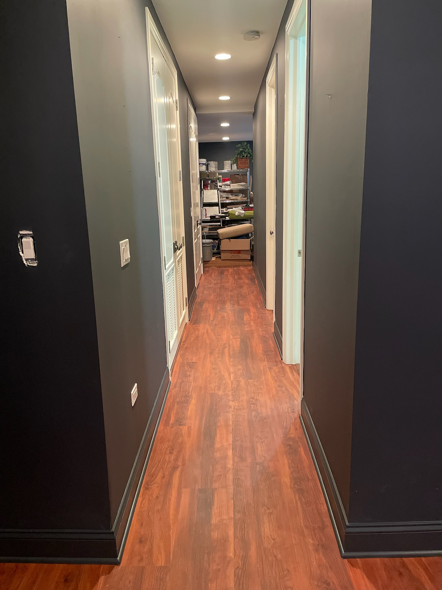 Bucktown, basement remodel