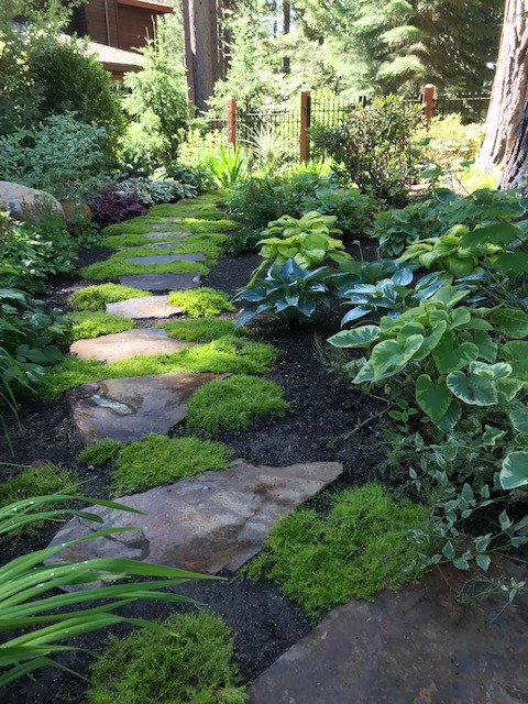 Lake Tahoe Landscape Designs