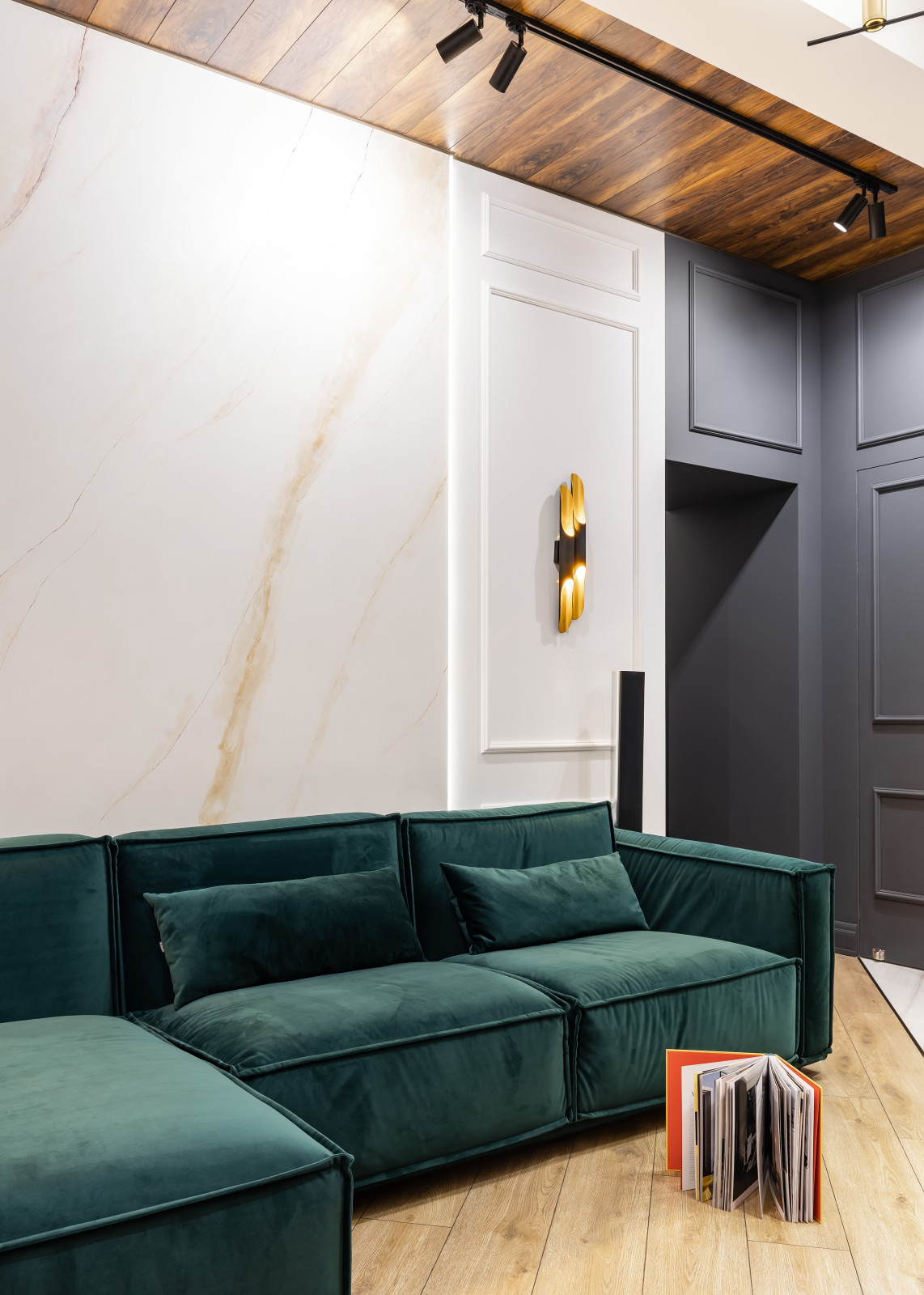 Intelligent Apartment