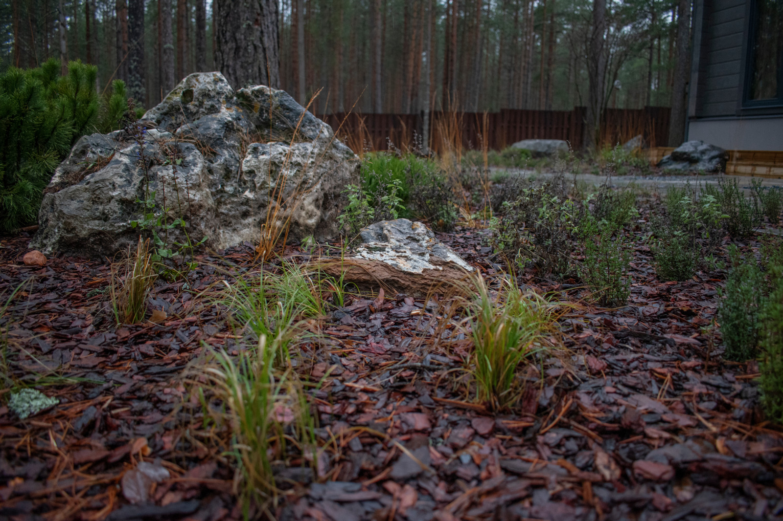 Проект "Волшебное озеро"