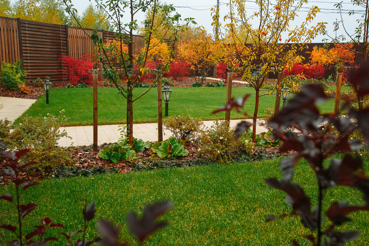 Сад с румянцем