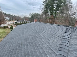 New Roof and Re Plywood