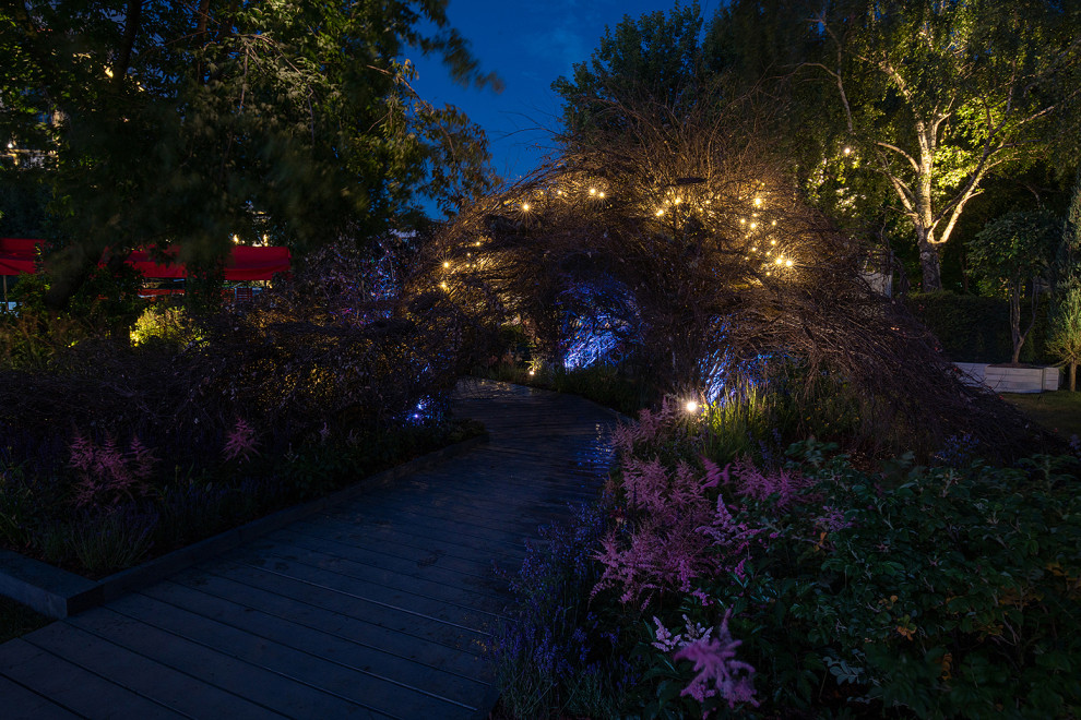 Фотосъемка Сада по сказке СиняяПтица на MFS 2019 Авторы М,Береснева М. ПРИНТЦ