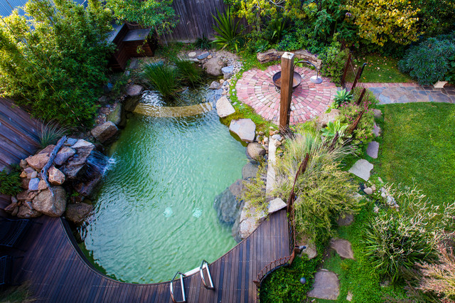 Natural Pools pool
