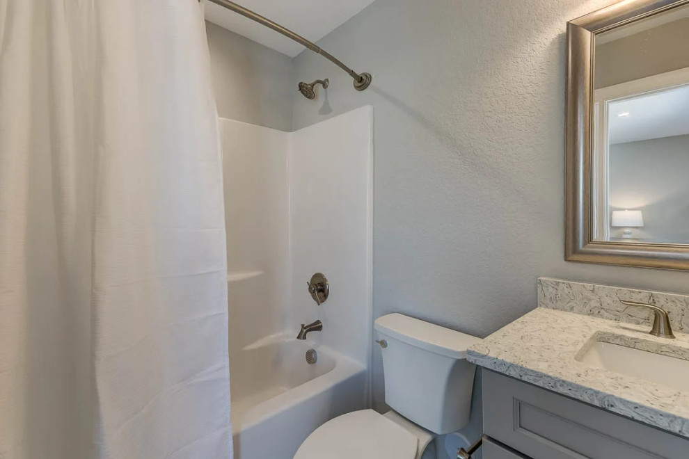 Dolphin Watch (2023)