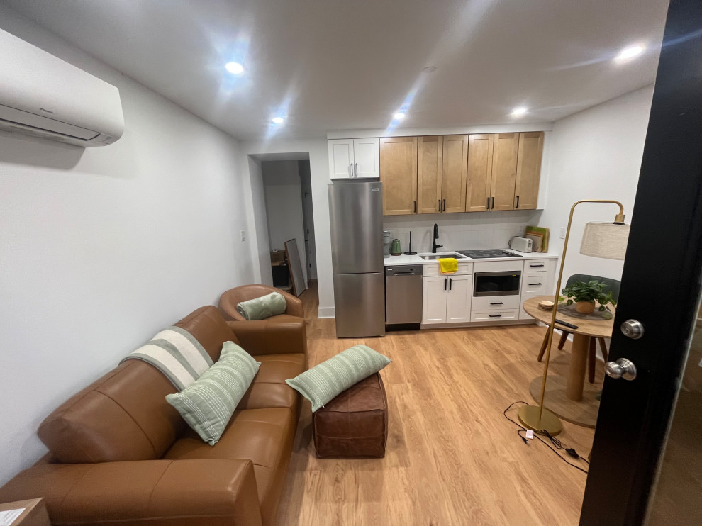 Capitol Hill, DC Renovation