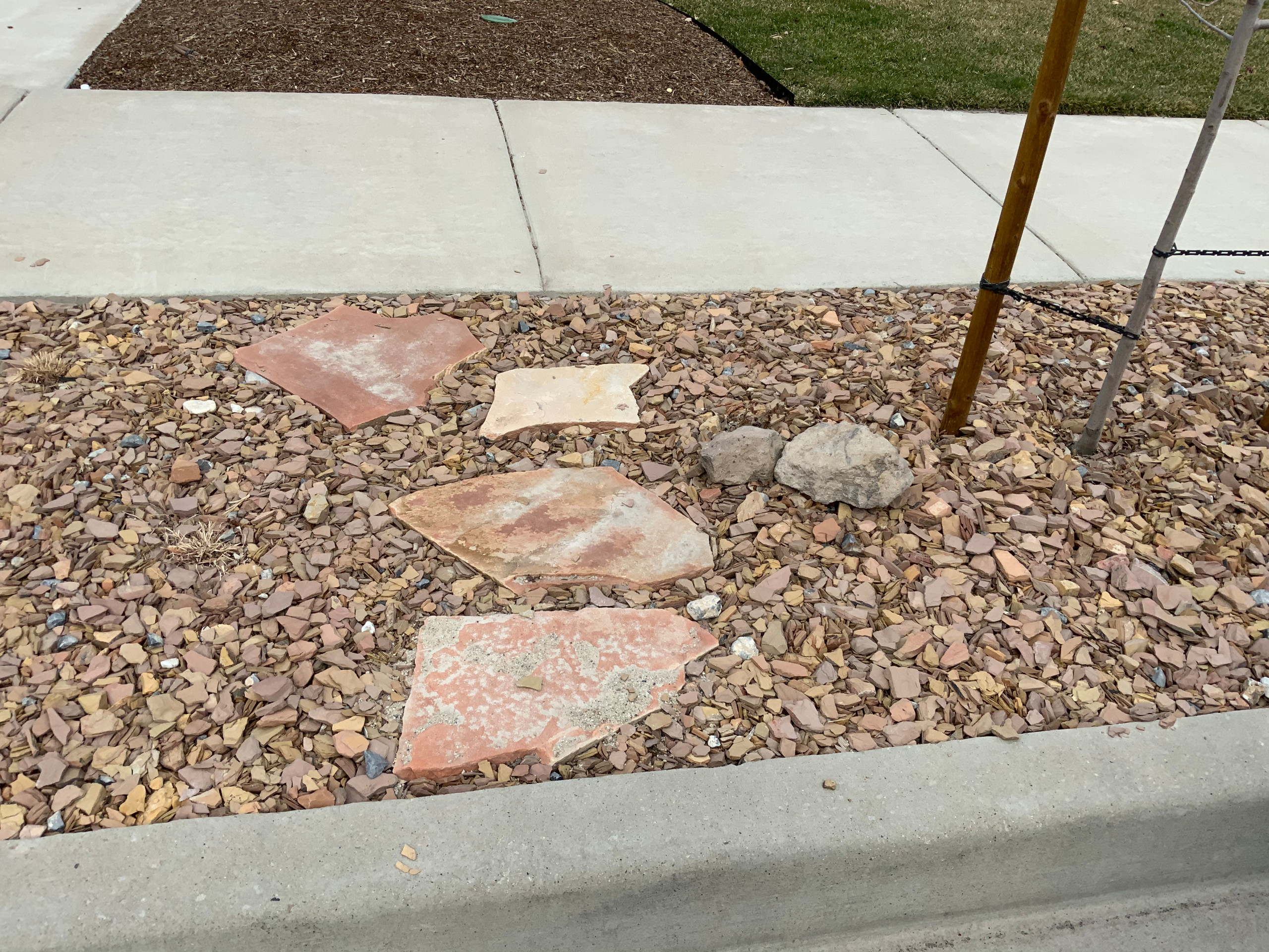 Neighborhood Friendly Front Yard