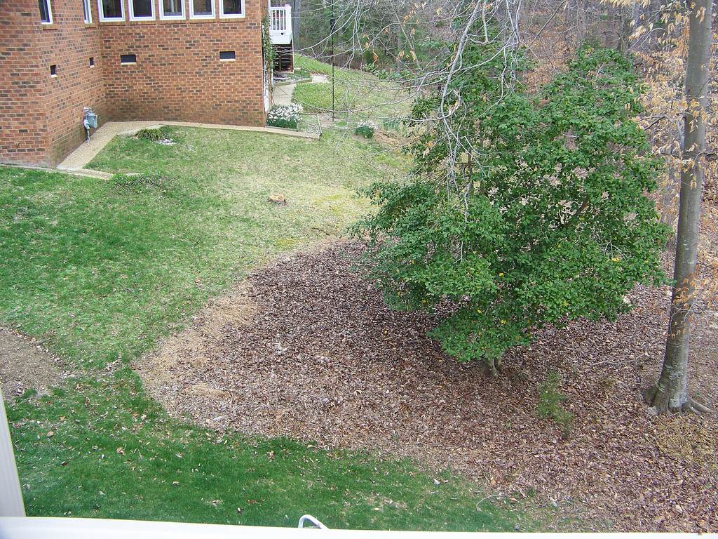 Creating outdoor fun in an unusable space.