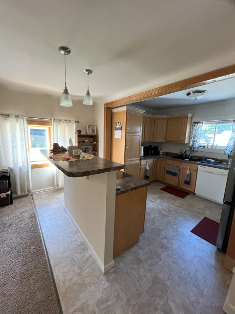 kitchen correction transitional