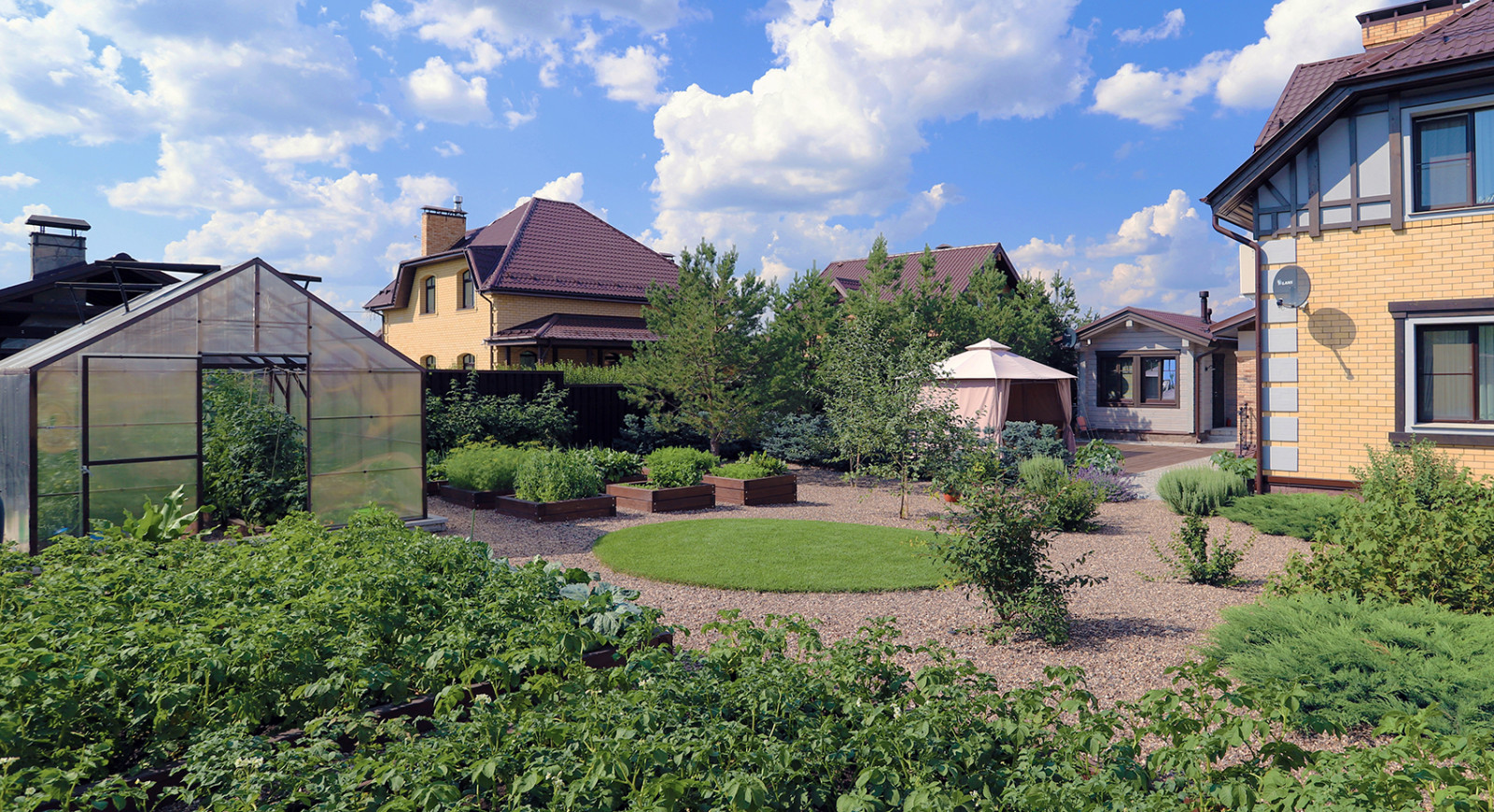 Элимус песчаный в плетеных корзинах и другие сизоватые и серебристые растения