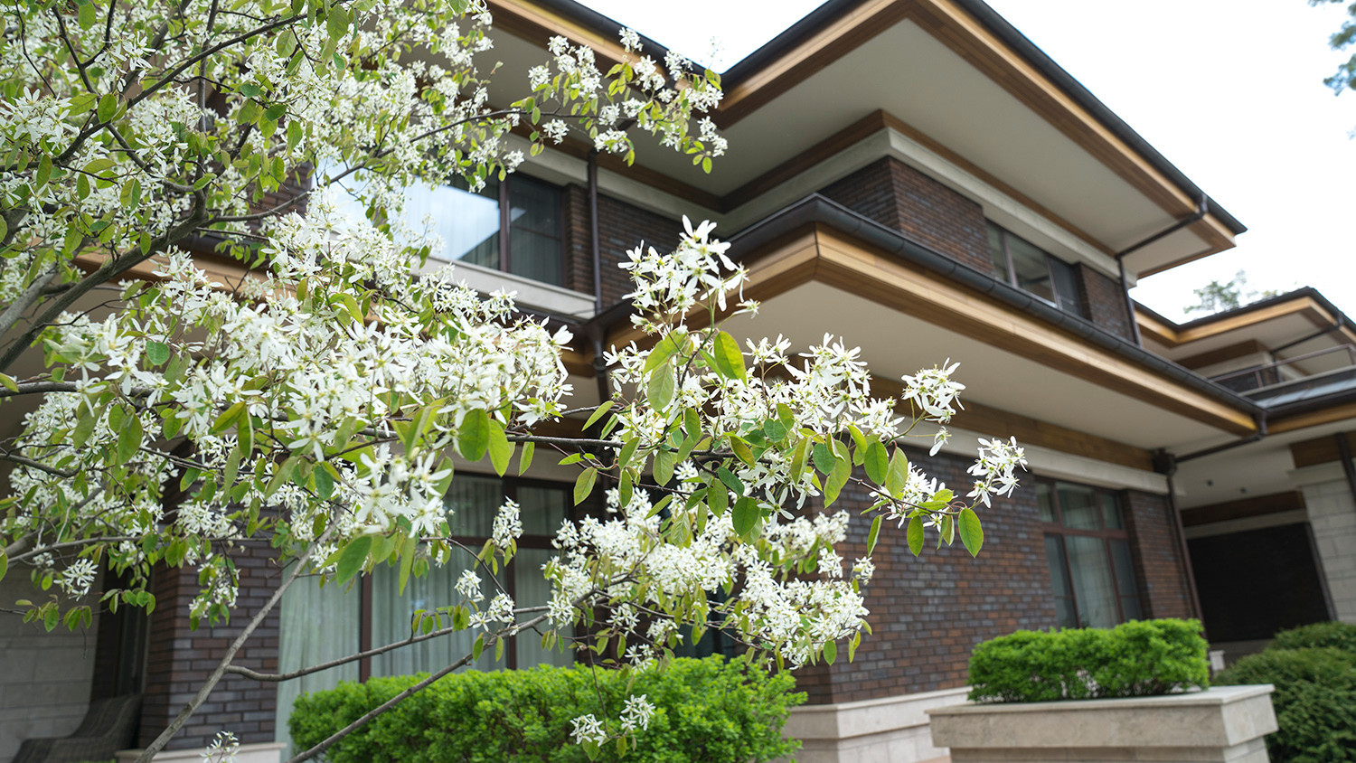 Вилла в стиле Райта. КП "Вымпел" Новорижское шоссе 2016 г.