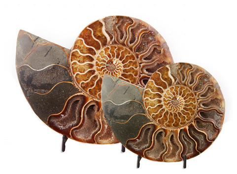 Decor