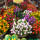 Last commented by gracei_sg