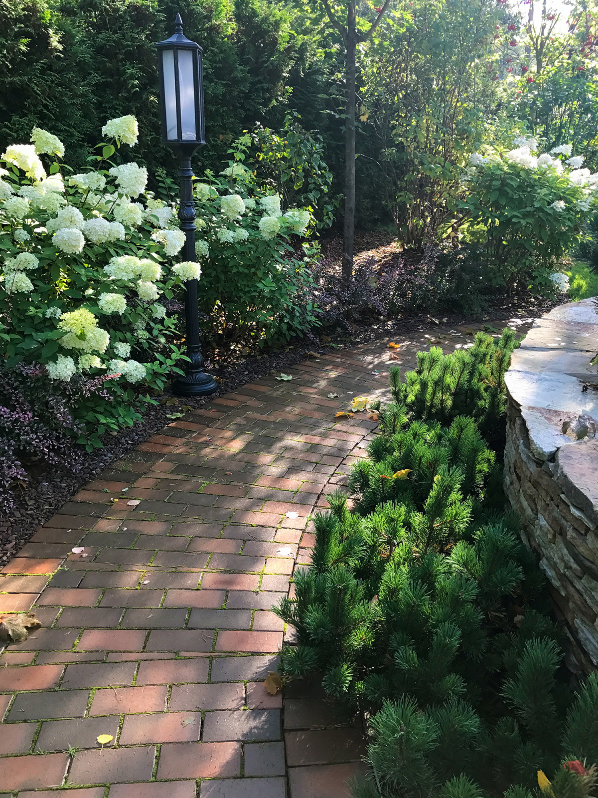 Участок в Курортном районе