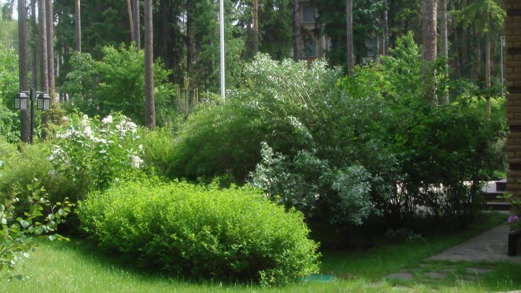 Рублево-Успенское шоссе. 52 сотки.