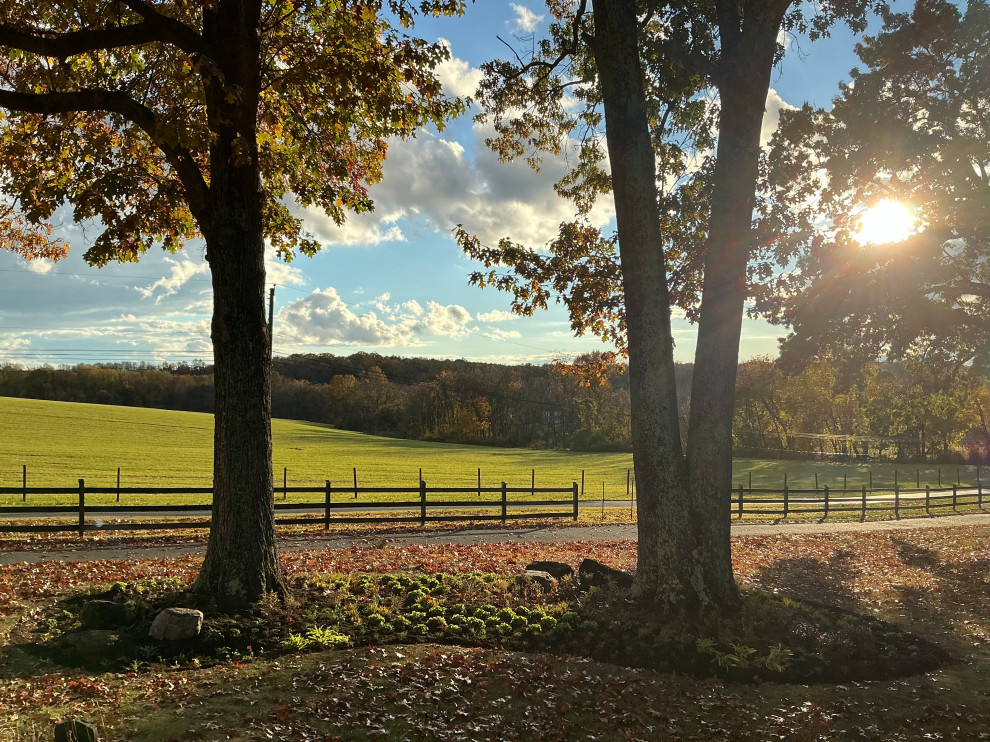 Impactful, serene and native entrance.
