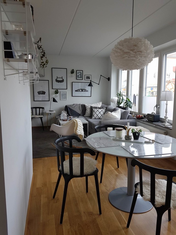 Scandinavian dining room in Gothenburg.