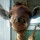 Last commented by Danita Cronkhite