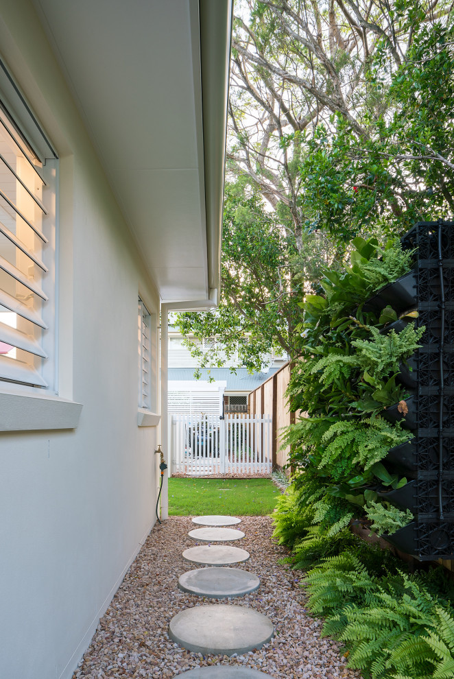This is an example of a traditional side yard garden in Brisbane with a vertical garden and concrete pavers.