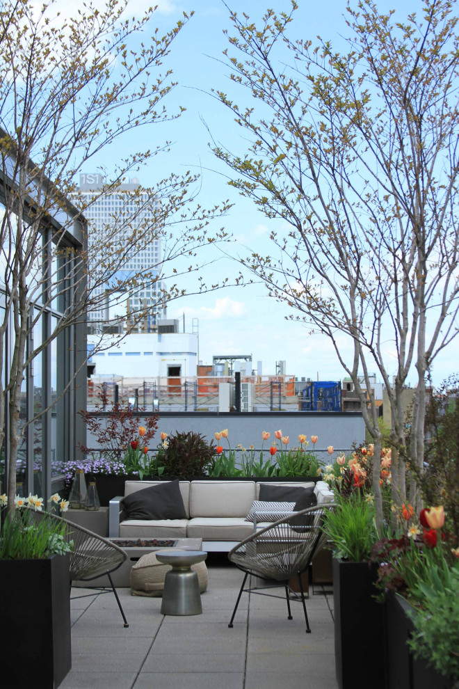 Photo of a mid-sized modern rooftop and rooftop deck in New York with a fire feature, no cover and metal railing.