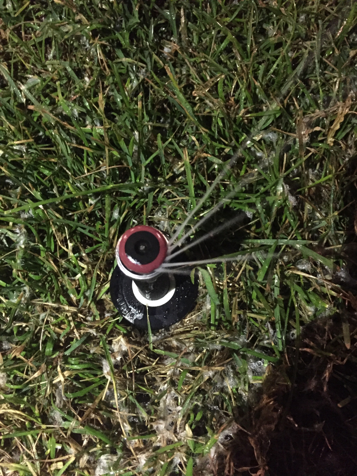 Системы автоматического полива