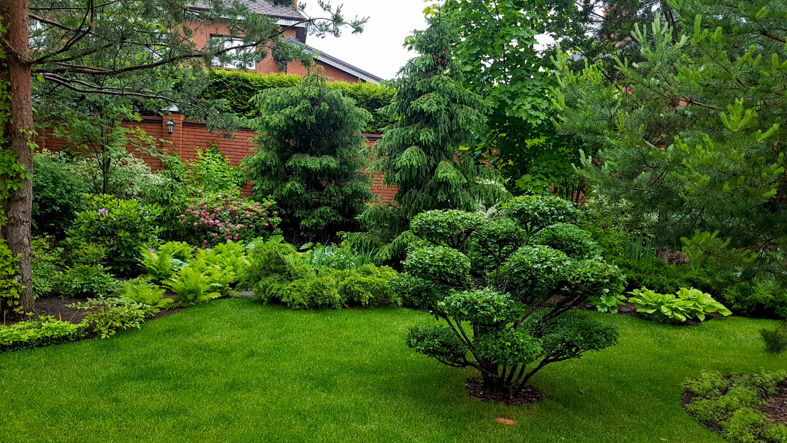 Сад с аурой